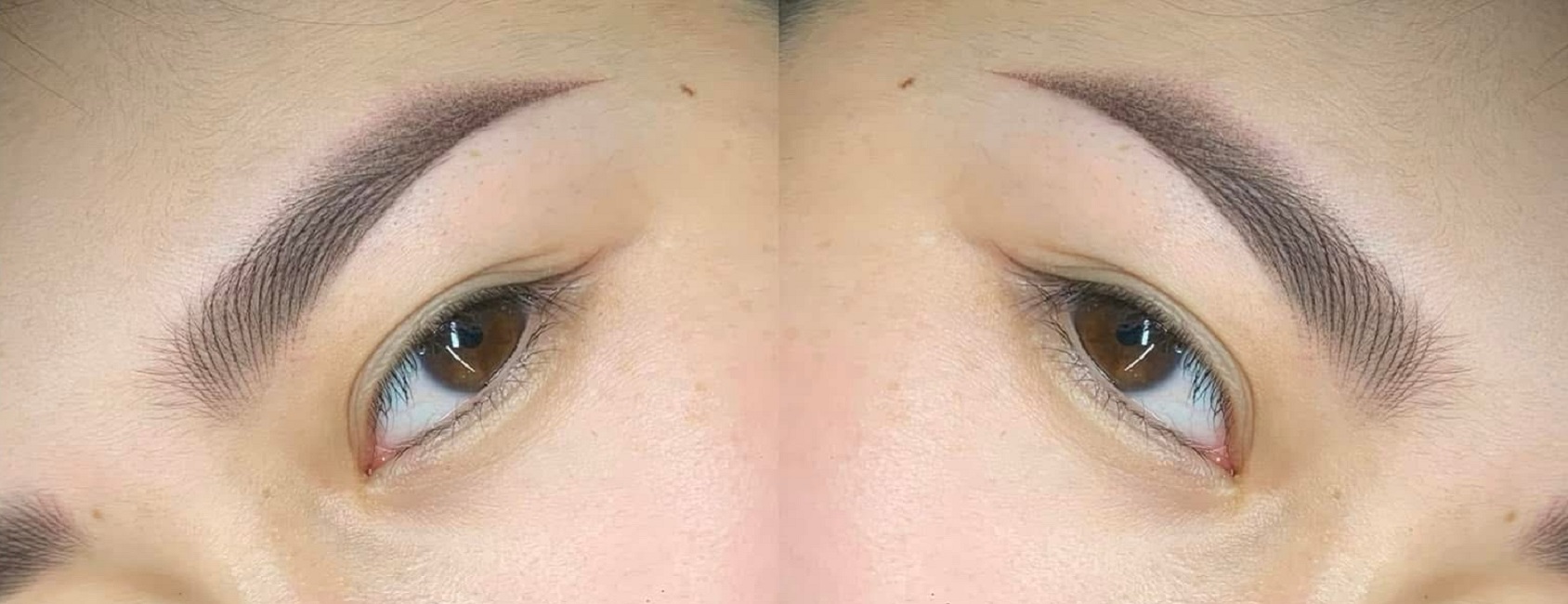 Hairstroke/ Truebrows