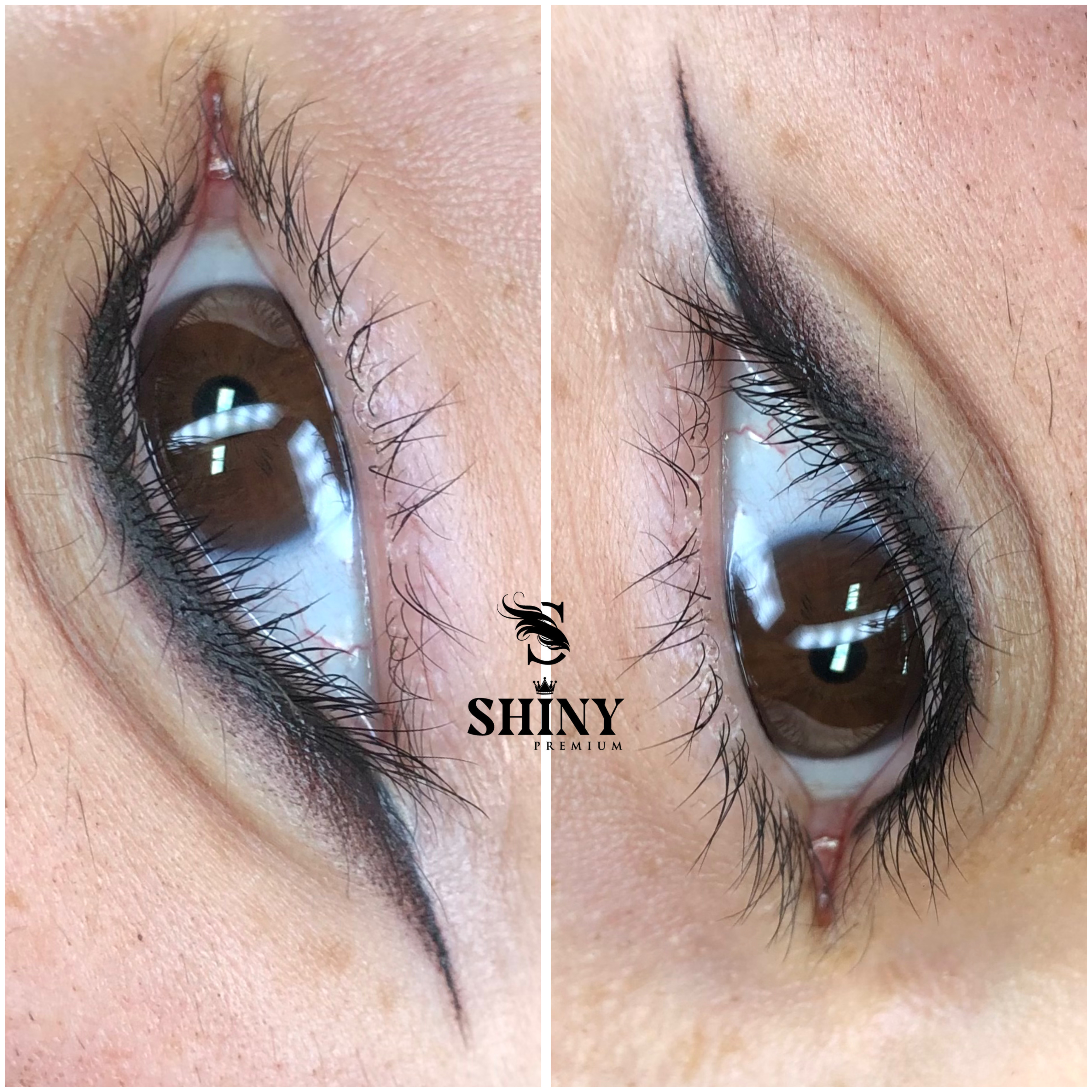 Course Training Left