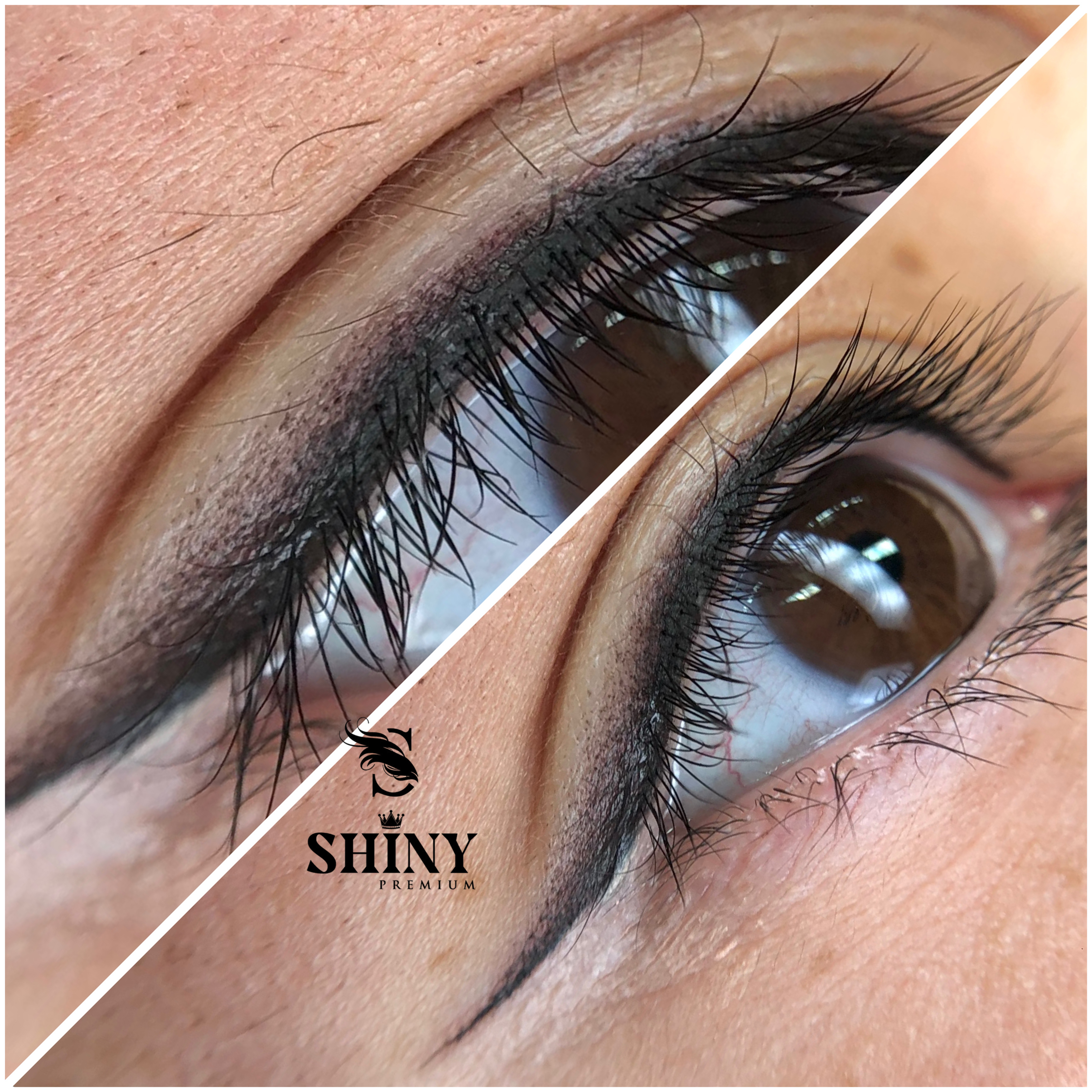 Course Training Right