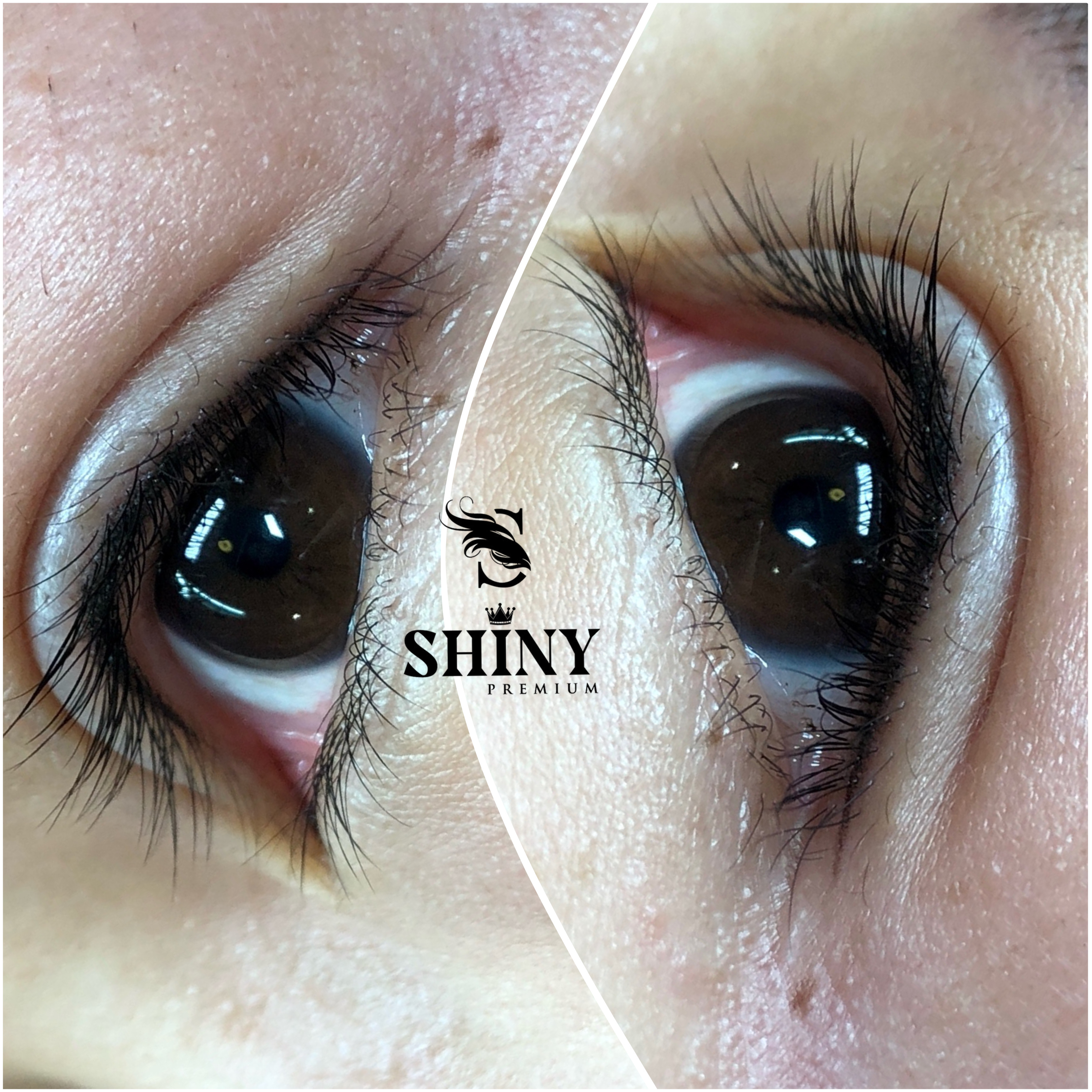 Course Details Image